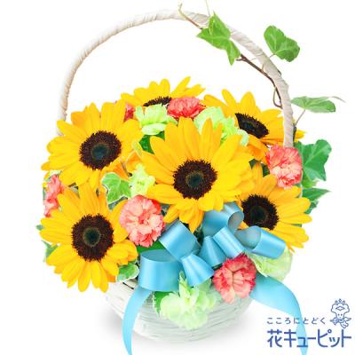 【父の日ギフト】花キューピット日付指定可  2026年 プレゼント ギフト ひまわりのバスケットアレンジメント