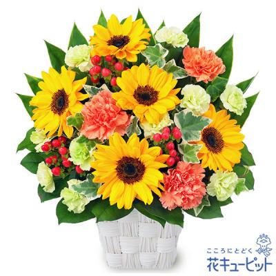【父の日ギフト】花キューピット日付指定可  2026年 プレゼント ギフト ひまわりのスクエアバスケット