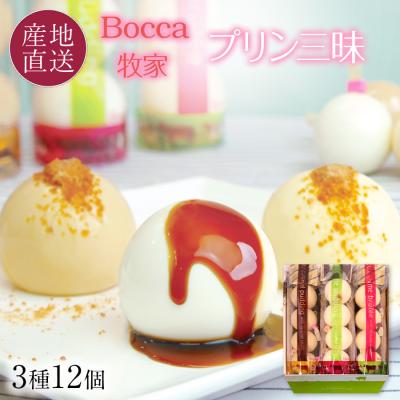 お歳暮 スイーツ プリン プレゼント Bocca 牧家 プリン三昧 3種12個セット おすすめ ギフト 内祝い 出産内祝 御歳暮 お返し お取り寄せ 爆買