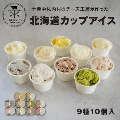 お歳暮 アイス ギフト ジェラート アイスクリーム バラエティ 北海道 9種10個セット 高級 プレゼント 十勝野フロマージュ 御歳暮 詰め合わせ 爆買