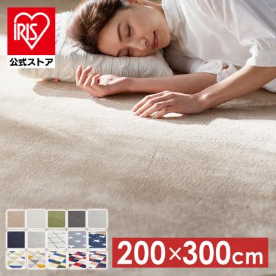 ラグ カーペット 洗える 洗えるラグ  北欧 ラグマット 絨毯 200×300 抗菌 防臭 滑り止め オールシーズン 床暖房 FNR-RC-2030