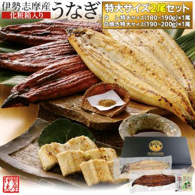 うなぎ セット 伊勢志摩産 特大サイズ２尾（たれ１尾 白焼き１尾） たれ付 送料無料 国産 ウナギ 鰻 蒲焼き 丑の日 個包装 冷凍 化粧箱入 寒中見舞い ギフト