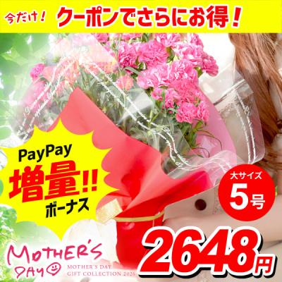 母の日 ギフト 花 カーネーション 早割 2026 プレゼント 鉢植え 5号鉢 鉢花 花鉢 生花 送料無料 50代 60代 70代 80代