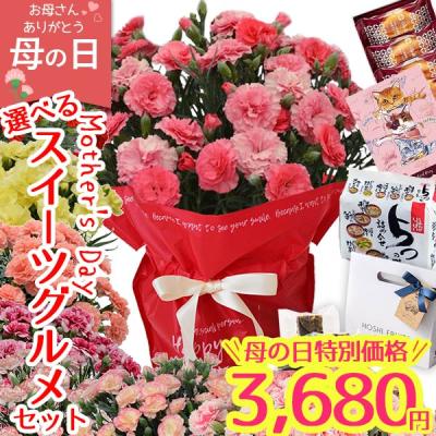母の日 ギフト 花 早割 2026 カーネーション 鉢植え 選べる8色 生花 5号 花とスイーツ グルメ4種 送料無料 プレゼント メッセージカード付