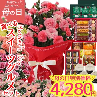 母の日 ギフト 花 早割 2026 カーネーション 鉢植え 選べる8色 生花 5号 スターバックス 花とスイーツ 送料無料 プレゼント カード付