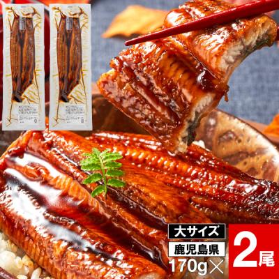 (ポイント2倍) うなぎ 国産 ギフト 鰻 蒲焼き 170g 2尾 鹿児島 大隅産 お歳暮 プレゼント お取り寄せ 爆買