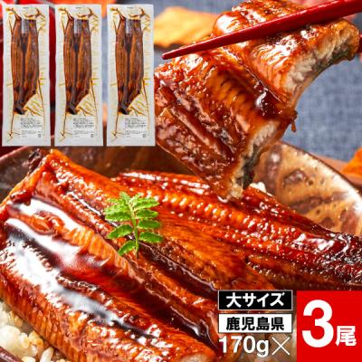 (ポイント2倍) うなぎ 国産 ギフト 鰻 蒲焼き 170g 3尾 鹿児島 大隅産 お歳暮 プレゼント お取り寄せ 爆買