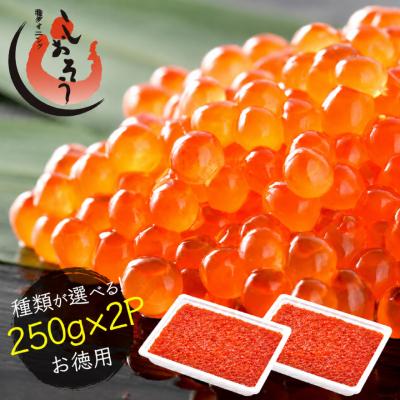 いくら 紅鮭 イクラ 醤油漬け 500g 小粒 いくら醤油漬け 魚卵 魚介類 美味しい お取り寄せ 贈り物 グルメ 海鮮