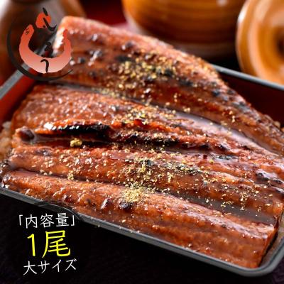 うなぎ 蒲焼き 国産 大サイズ 170g×1尾 ウナギ 鰻