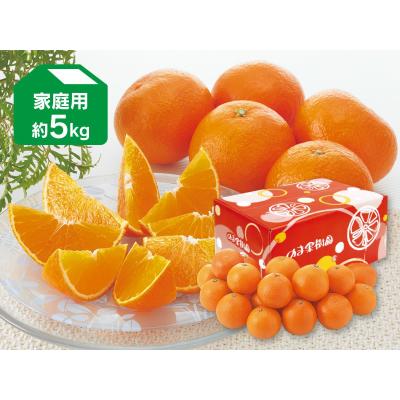 媛まどんな約5kg-家庭用/愛媛果試第28号・紅まどんなと同品種