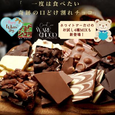 お試し 割れチョコ  チョコレート 送料無料 チュベ・ド・ショコラ チョコ お菓子 ポイント消化 クリスマス