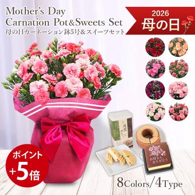 母の日 ギフト 2026 プレゼント 花 送料無料 赤 ピンク 他 カーネーション 鉢植え 8色選択 × カステラ ボーナス等5％ 爆買