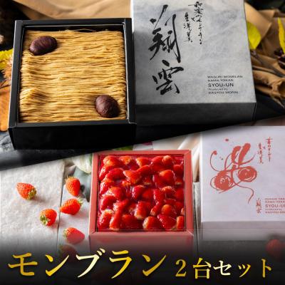 お中元 スイーツ ギフト 2026 モンブラン ケーキ 2台セット 高級 和栗 モンブラン いちご タルト 栗 誕生日ケーキ 誕生日プレゼント お取り寄せ