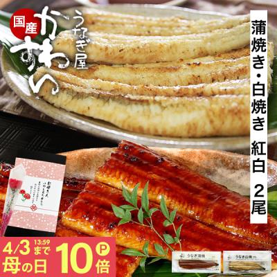 うなぎ 蒲焼き 白焼き 紅白 国産 120g 2尾 うなぎ屋かわすい ウナギ 鰻 グルメ 送料無料 人気 内祝 お返し 誕生日 プレゼント お取り寄せ ギフト 爆買