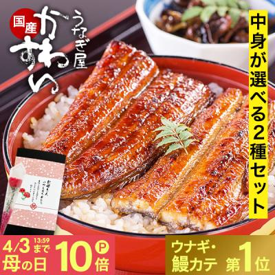 うなぎ 蒲焼き 国産 人気 選べる2種 うなぎ屋かわすい ウナギ 鰻 ひつまぶし 送料無料 お取り寄せ グルメ  誕生日プレゼント 内祝 土用丑 ギフト 高級 爆買