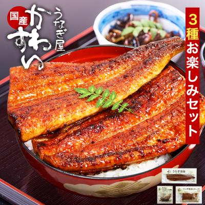 うなぎ 蒲焼き 3種 国産 人気 送料無料 うなぎ屋かわすい ギフト 内祝 誕生日プレゼント 土用丑 グルメ ウナギ 鰻 特大 ひつまぶし お取り寄せ お祝い 海鮮 爆買