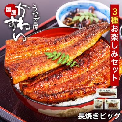うなぎ 蒲焼き 人気 国産 送料無料 うなぎ屋かわすい 3種 ビッグ グルメ ウナギ 鰻 ひつまぶし 海鮮 土用丑 ギフト 内祝 誕生日プレゼント お取り寄せ 爆買