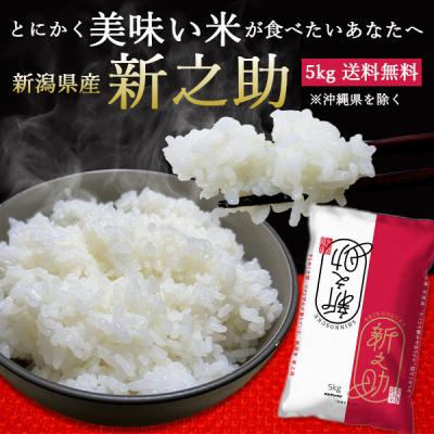 【3/15限定SALE★売り切れ次第終了】お米 米 新潟産新之助 5kg 送料無料 しんのすけ ブランド米 プレミアム米 令和7年産