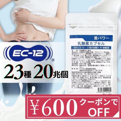 乳酸菌 サプリ 20兆個 23種の乳酸菌 腸活 菌活 EC-12 プロバイオティクス サプリメント 乳酸菌 1兆個  濃縮 菌パワー