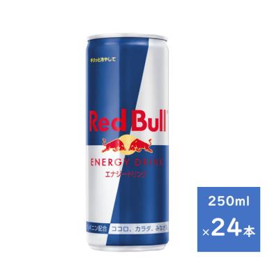レッドブル RedBull 250ml 1ケース 24本 【送料無料　北海道、九州、沖縄、離島を除く】 レッドブル ２４本 １ケース　ポイント利用