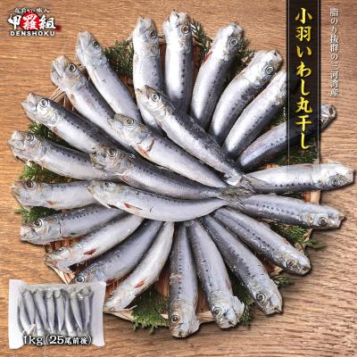 小羽いわし丸干し 1kg 25尾前後 イワシ 鰯 海鮮 魚 大容量 おかず 惣菜 焼魚 魚介 海鮮 BBQ 爆買