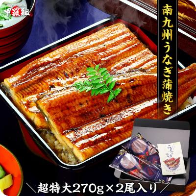 希少な超特大肉厚サイズ厳選 南九州のブランドうなぎ蒲焼き 約270g前後×2尾 タレ＆山椒付き 専用ギフトBOXでお届け 国産 お中元 爆買