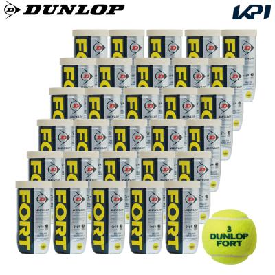 DUNLOP FORT （2個入り30缶） 硬式テニスボール - 最安値・価格比較 