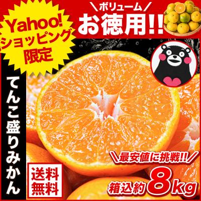 先着クーポンで2502円 今だけ増量8.5kg みかん 送料無料 訳あり てんこ盛り 箱込8.5kg 小粒 熊本 極早生 柑橘 訳アリ 蜜柑 10月中旬-11月中旬に発送予定 |