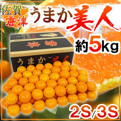 みかん 佐賀県 JAからつ ”うまか美人みかん” 2S/3Sサイズ 約5kg【予約 11月以降】 送料無料