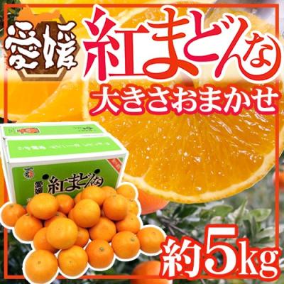 愛媛産 ”紅まどんな” 約5kg 大きさおまかせ ご家庭用【予約 12月以降】 送料無料