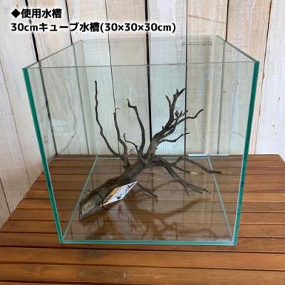 カミハタ 水槽レイアウト用品 枝流木 形状お任せ インドネシア産 水槽用流木 最安値 価格比較 Yahoo ショッピング 口コミ 評判からも探せる