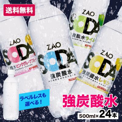 【期間限定★クーポン利用で1,370円!!】炭酸水 500ml 24本 最安値に挑戦中 送料無料 無糖 レモン LDC ソーダ