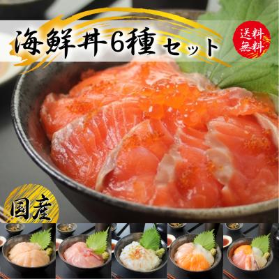 海鮮 グルメ 海鮮丼 ６食セット  海鮮丼 ギフト
