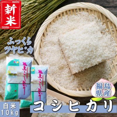 新米 コシヒカリ 10kg(5kg×2袋)  福島県産 お米 7年産 送料無料 『令和7年福島県産コシヒカリ(白米5kg×2)』