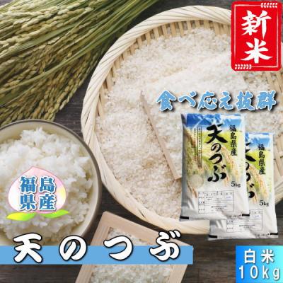 新米 天のつぶ 10kg(5kg×2袋) 福島県産 お米 7年産 送料無料 『令和7年福島県産天のつぶ(白米5kg×2)』