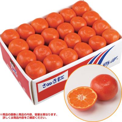 お歳暮　香川県産 さぬき紅みかん （220_25冬）