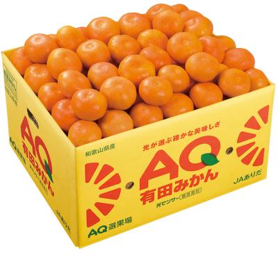 お歳暮　和歌山県産 小粒有田みかん （220_25冬）