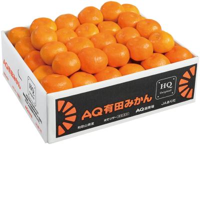 お歳暮　和歌山県産 有田高糖度みかん （220_25冬）