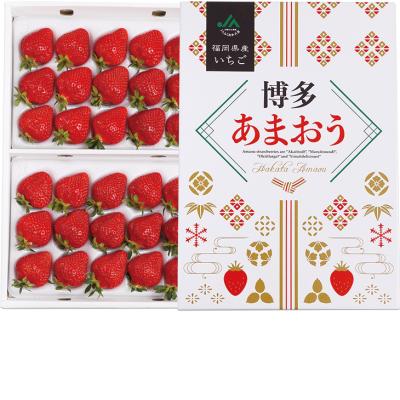 お歳暮　福岡県産 あまおう （220_25冬）