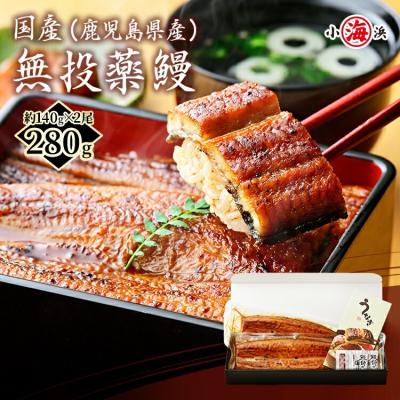 うなぎ蒲焼き 国産 約140g×2尾 (約280g) 完全無投薬 鹿児島県産 うなぎ蒲焼き  2~4人前 鰻 ウナギ 鍋 ギフト 爆買