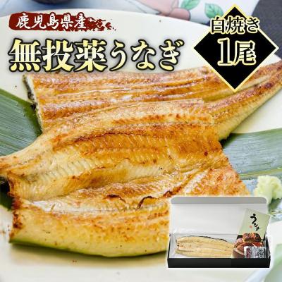 うなぎ 白焼き 鰻 国産 鹿児島県産 約140g×1尾 化粧箱 ギフト プレゼント 誕生日 贈答 御祝い うなぎ白焼き ウナギ