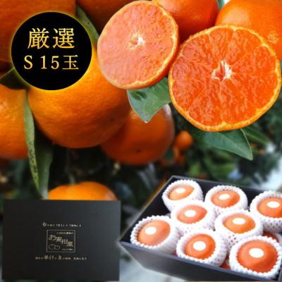 みかん 完熟 マルチ 早生 お歳暮 高糖度 甘い 送料無料 ギフト 高級 農家直送 新鮮 濃厚 (101) 蜜ツ丸 黒の化粧箱（中）Sサイズ 厳選 プレミアム 15玉入