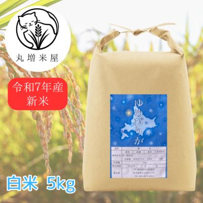 【ゆめぴりか5kg】大粒米 新米 令和7年産 北海道産 ゆめぴりか 白米 5kg 検査米 色彩選別済みのおいしいお米 #米 #コシヒカリ #ななつぼし