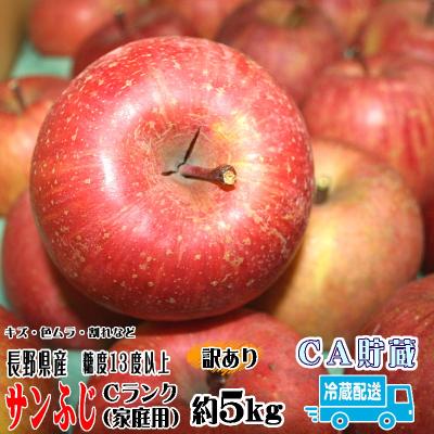 りんご 訳あり サンふじ 約5kg Cランク 家庭用 CA貯蔵 長野県産 送料無料 フルーツ リンゴ 信州