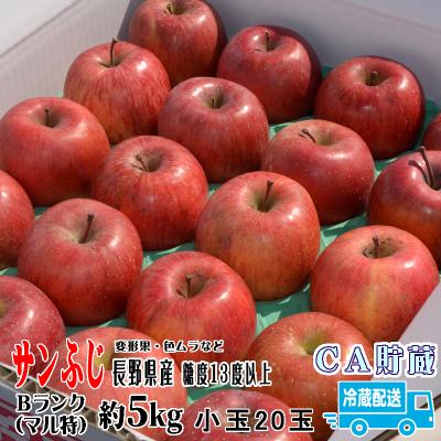 りんご 訳あり サンふじ 約5kg Cランク 小玉 20玉詰  長野県産りんご 家庭用 送料無料 フルーツ リンゴ 果物 くだもの 信州  CA貯蔵