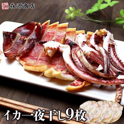 いか イカ ふっくらやわらか いか 一夜干し 9枚(3枚×3) イカ 烏賊 姿 干物 珍味 食品 海鮮 ギフト ポイント利用 爆買
