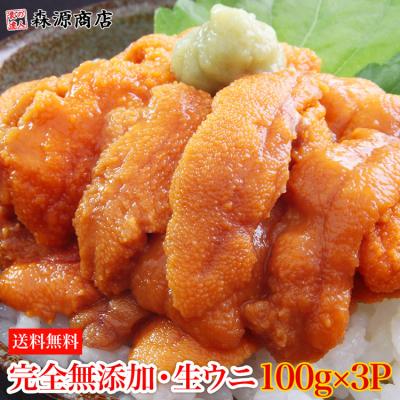 うに 無添加生うに 100g×3パック 究極Aグレード 生ウニ みょうばん不使用 ブランチング処理済 完全無添加 お刺身 グルメ 食品 海鮮 ギフト ポイント利用 爆買
