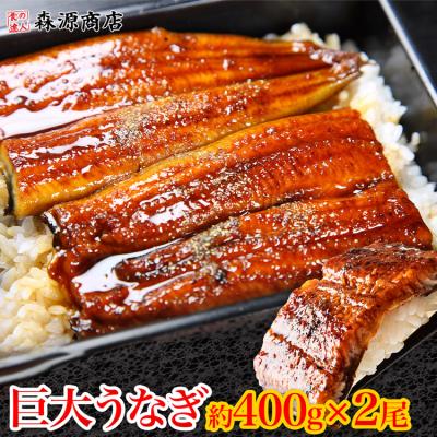 うなぎ 驚く大きさ 約400gx2尾 巨大うなぎ蒲焼き 計800g 山椒たれ８袋付き ウナギ 鰻 蒲焼き 爆買