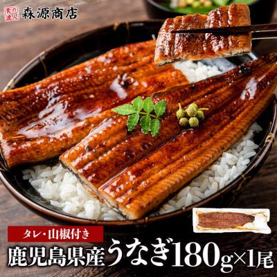 うなぎ 蒲焼き 国産 鰻ギフト ウナギ 無投薬 1尾 約180g 鹿児島県産 山田水産 食品 海鮮 ギフト ポイント利用 爆買