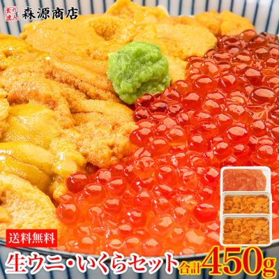 うに イクラ セット 無添加生うに 200g 訳あり 小粒いくら 250g 究極Aグレード生ウニ 海鮮丼 グルメ 食品 海鮮 ギフト ポイント利用 爆買